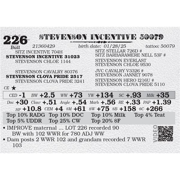 STEVENSON INCENTIVE 50079