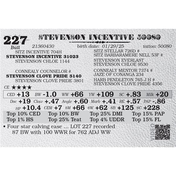 STEVENSON INCENTIVE 50080