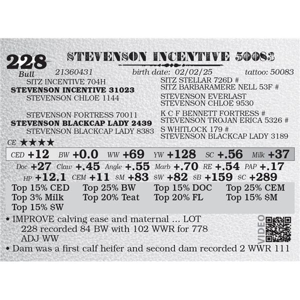 STEVENSON INCENTIVE 50083