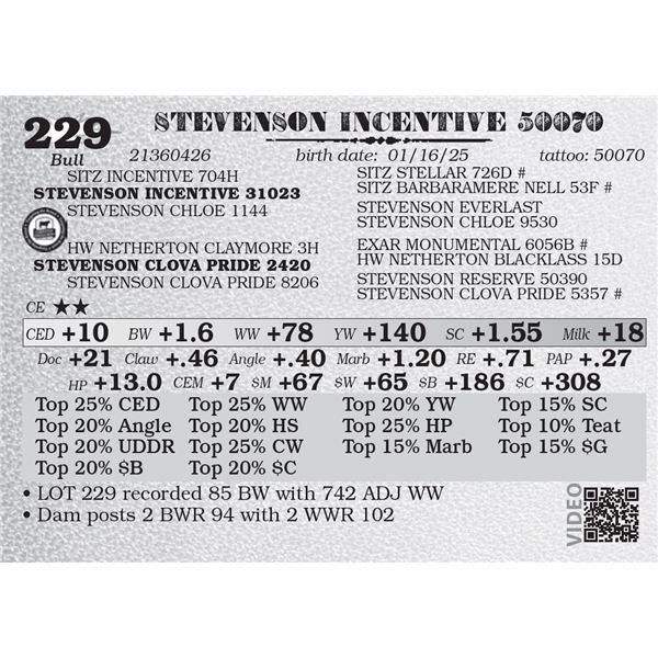 STEVENSON INCENTIVE 50070