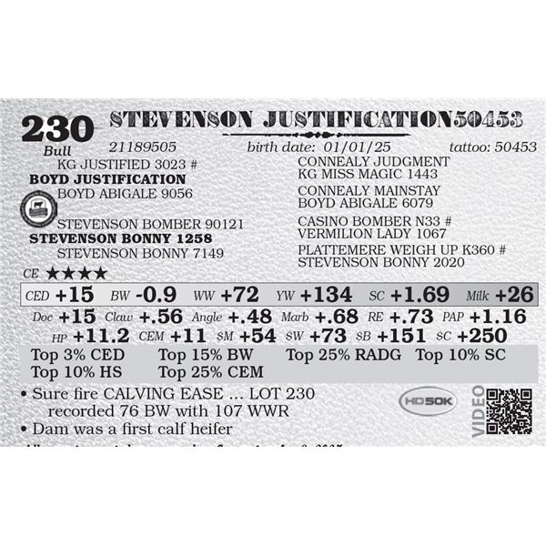 STEVENSON JUSTIFICATION50453