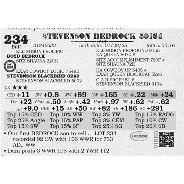 STEVENSON BEDROCK 50164