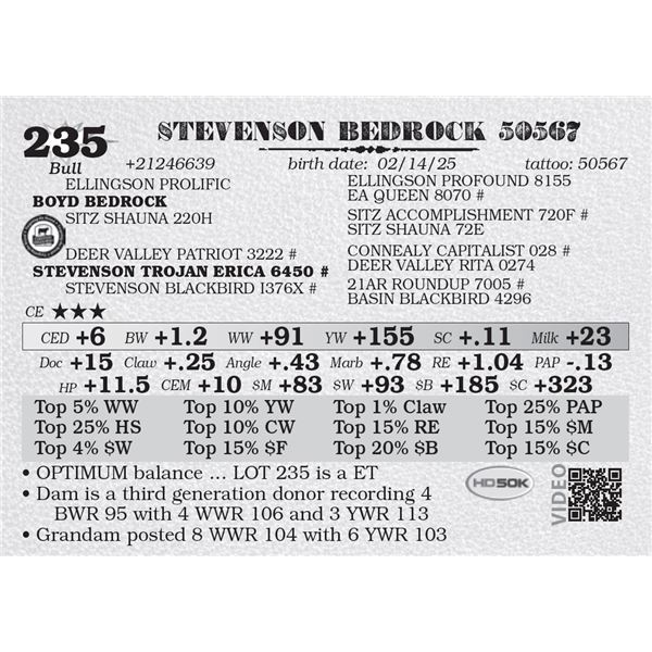 STEVENSON BEDROCK 50567