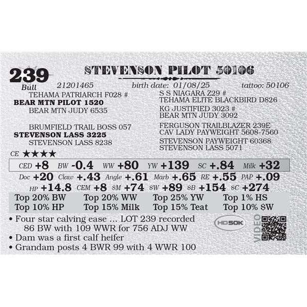 STEVENSON PILOT 50106