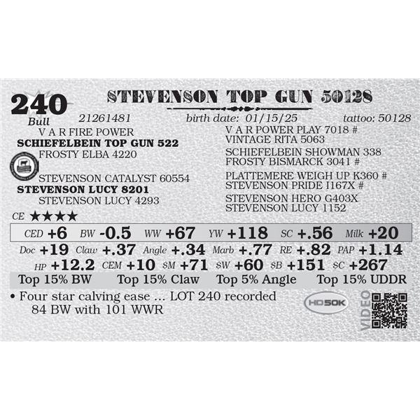 STEVENSON TOP GUN 50128