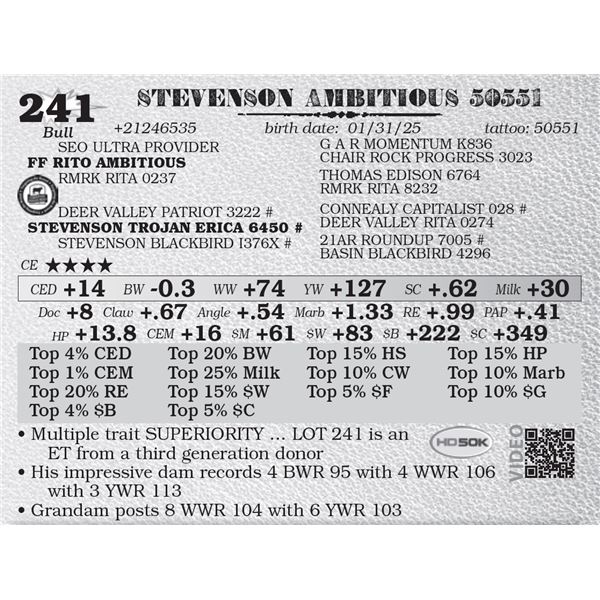 STEVENSON AMBITIOUS 50551