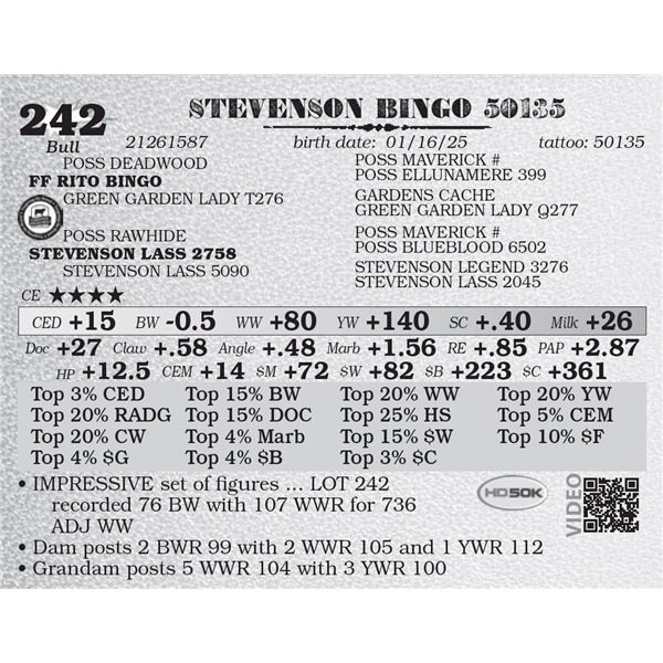 STEVENSON BINGO 50135