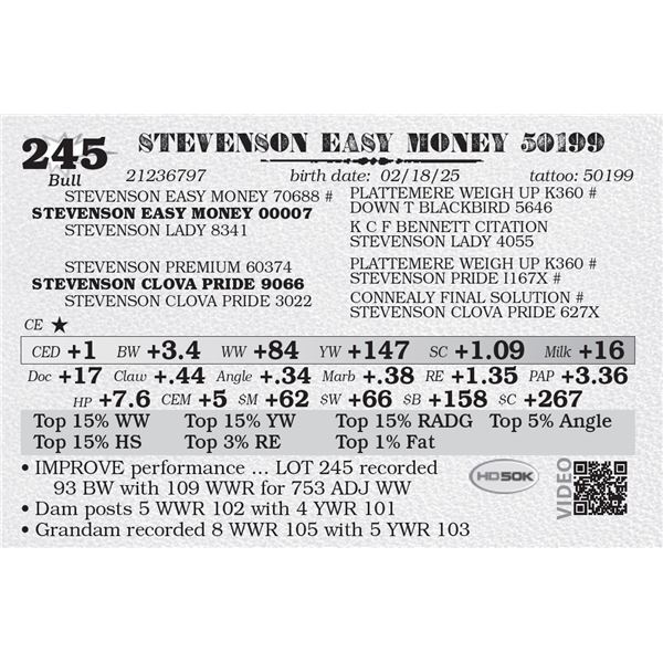 STEVENSON EASY MONEY 50199