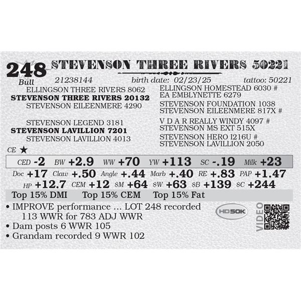 STEVENSON THREE RIVERS 50221