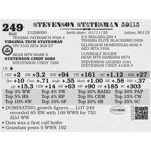 STEVENSON STATESMAN 50115