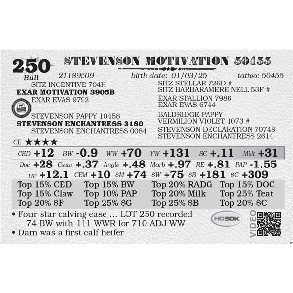 STEVENSON MOTIVATION 50455