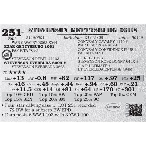 STEVENSON GETTYSBURG 50118