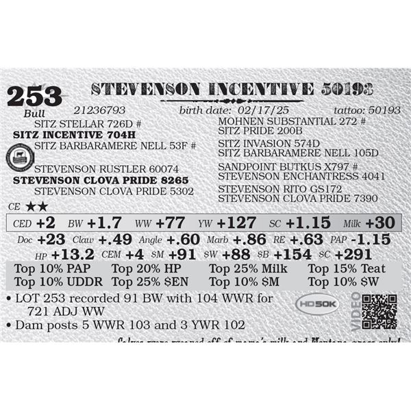 STEVENSON INCENTIVE 50193