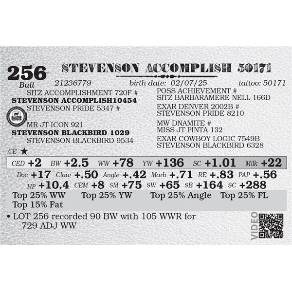 STEVENSON ACCOMPLISH 50171