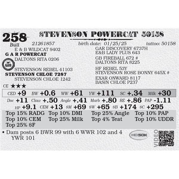 STEVENSON POWERCAT 50158