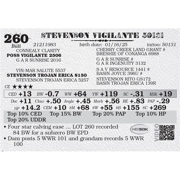 STEVENSON VIGILANTE 50131