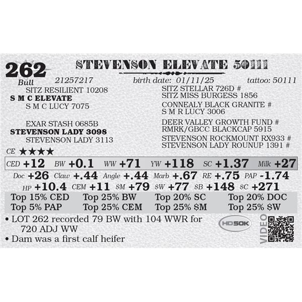 STEVENSON ELEVATE 50111