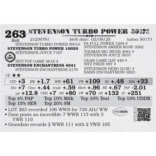 STEVENSON TURBO POWER 50173