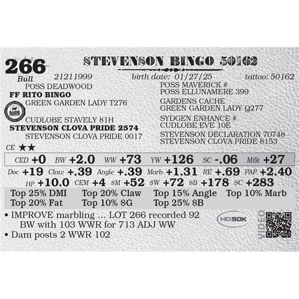 STEVENSON BINGO 50162