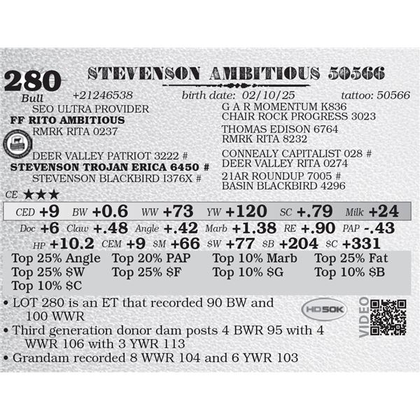 STEVENSON AMBITIOUS 50566