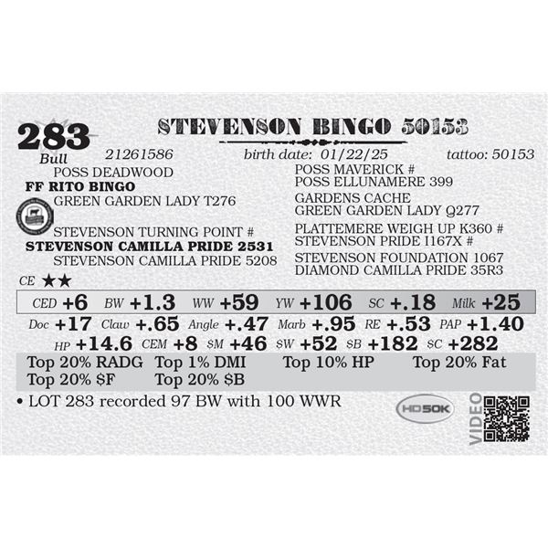 STEVENSON BINGO 50153
