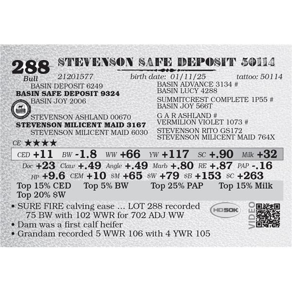 STEVENSON SAFE DEPOSIT 50114
