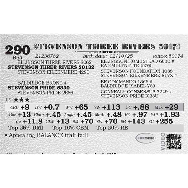 STEVENSON THREE RIVERS 50174