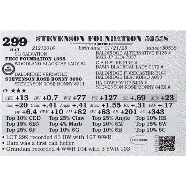STEVENSON FOUNDATION 50538