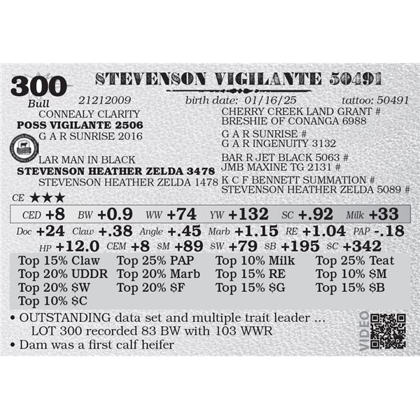 STEVENSON VIGILANTE 50491