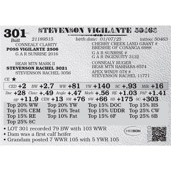 STEVENSON VIGILANTE 50463