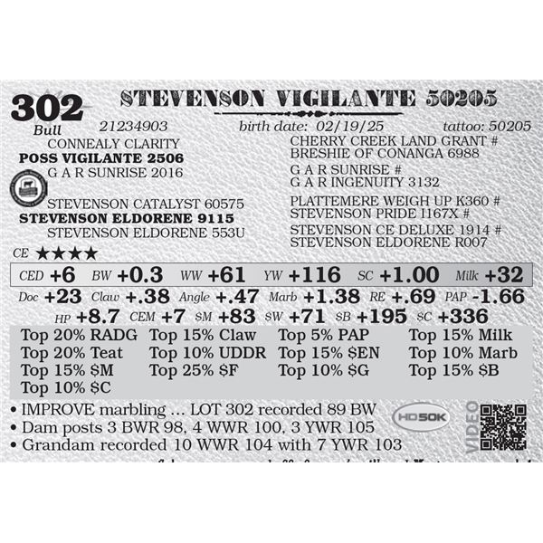 STEVENSON VIGILANTE 50205