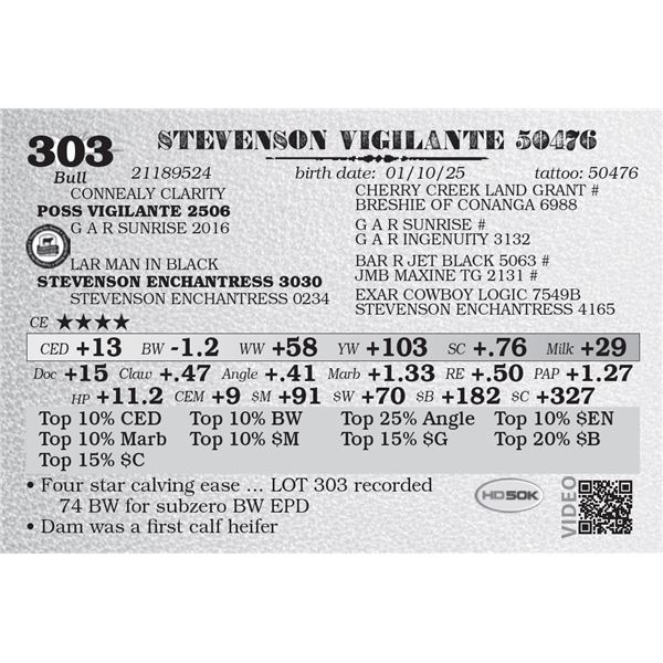 STEVENSON VIGILANTE 50476