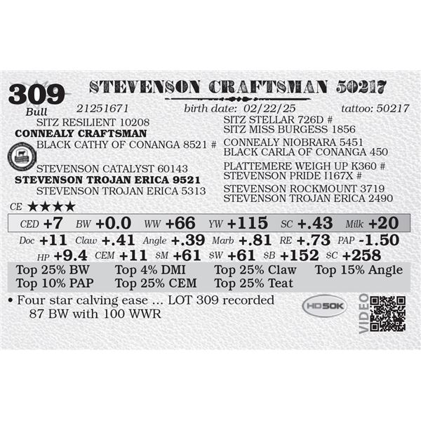 STEVENSON CRAFTSMAN 50217