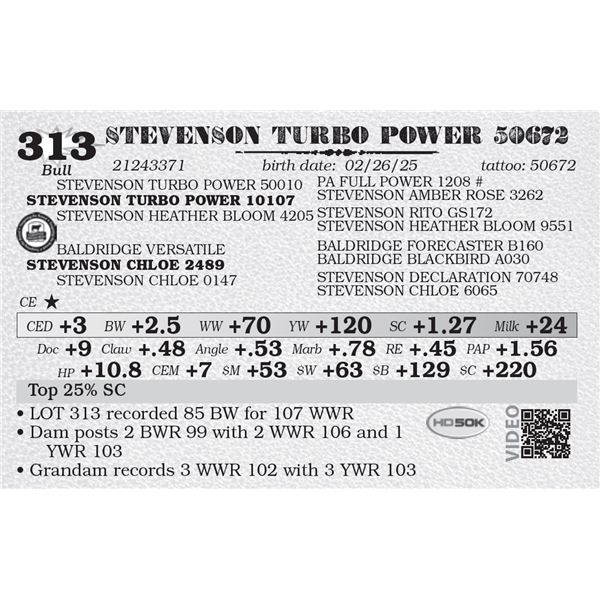 STEVENSON TURBO POWER 50672