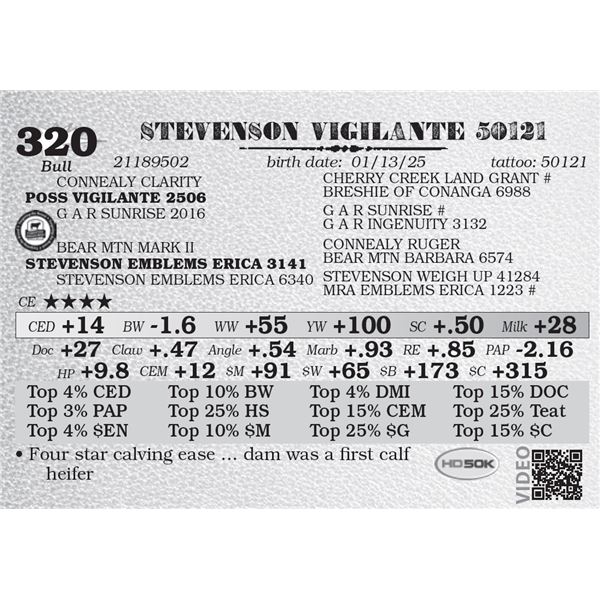 STEVENSON VIGILANTE 50121