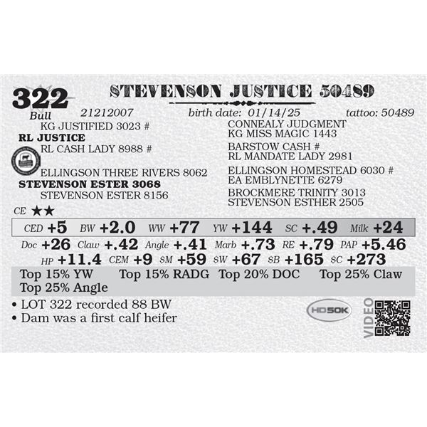 STEVENSON JUSTICE 50489