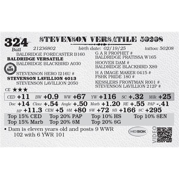 STEVENSON VERSATILE 50208