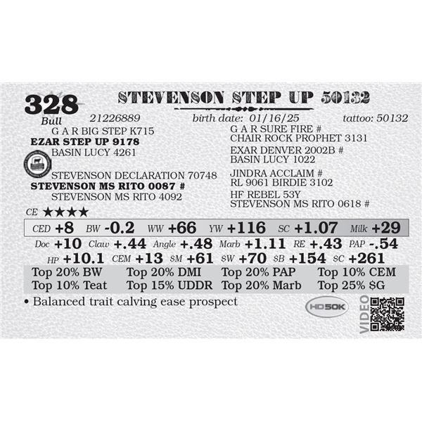 STEVENSON STEP UP 50132