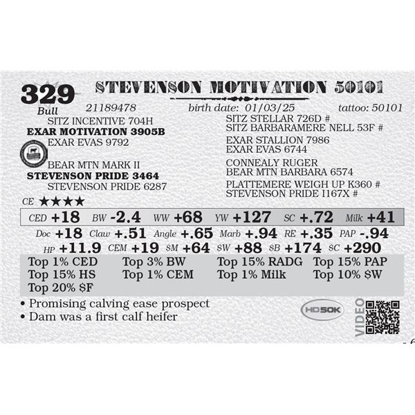 STEVENSON MOTIVATION 50101