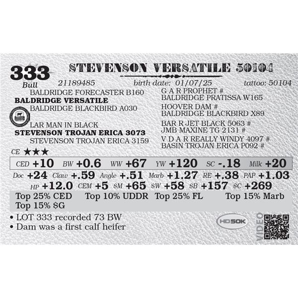 STEVENSON VERSATILE 50104