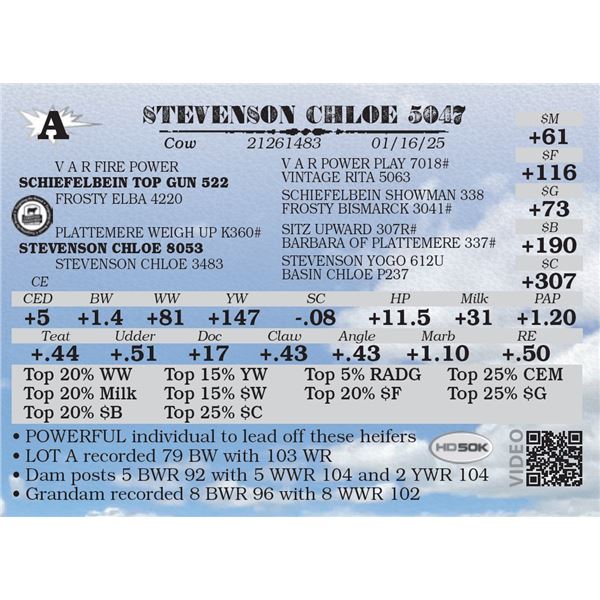 STEVENSON CHLOE 5047