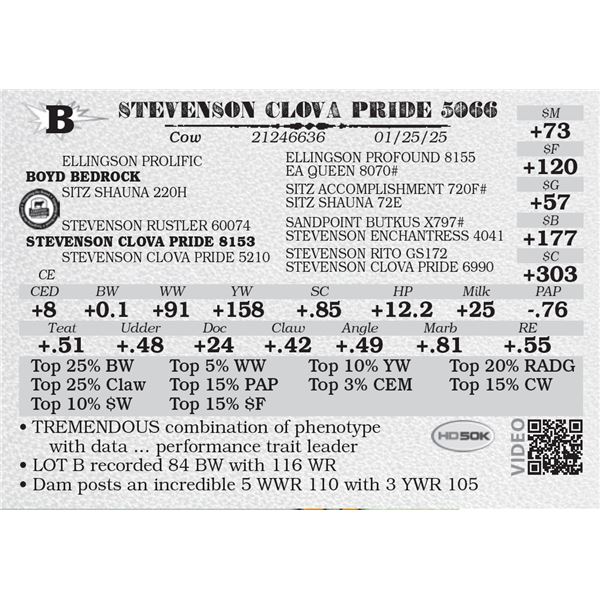 STEVENSON CLOVA PRIDE 5066