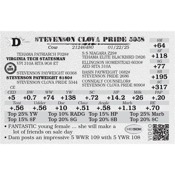 STEVENSON CLOVA PRIDE 5058