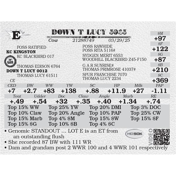 DOWN T LUCY 5035