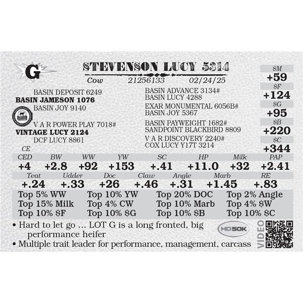 STEVENSON LUCY 5314