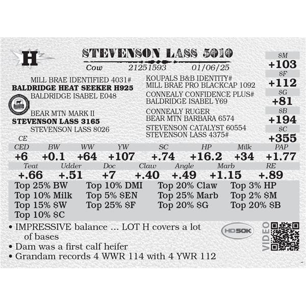 STEVENSON LASS 5010