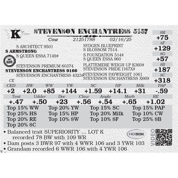 STEVENSON ENCHANTRESS 5157