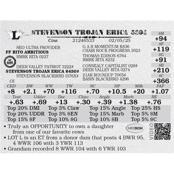 STEVENSON TROJAN ERICA 5304