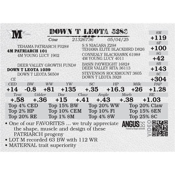DOWN T LEOTA 5283