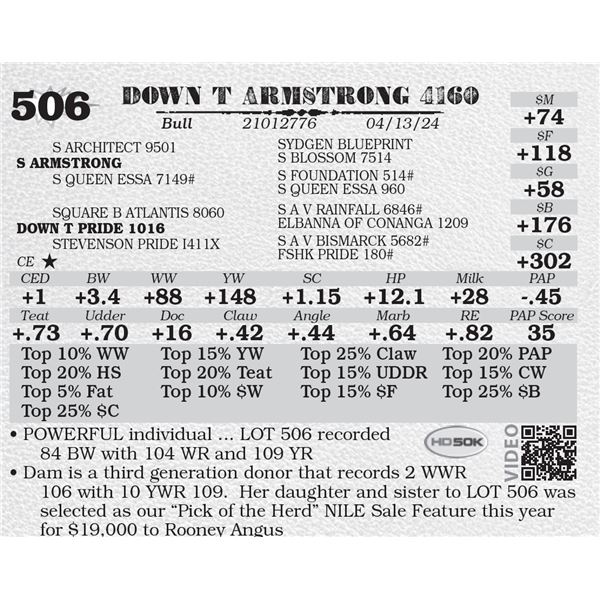 DOWN T ARMSTRONG 4160